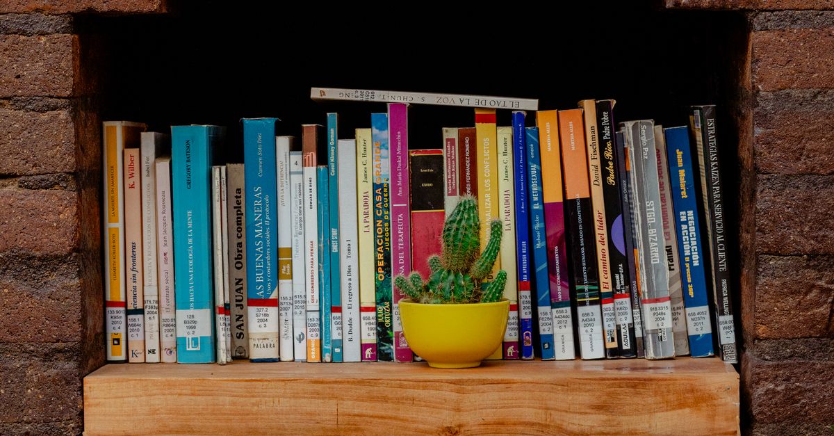 Fotos de stock gratuitas de académico, adentro, amante de libros Fotos de stock gratuitas de académico, adentro, amante de libros