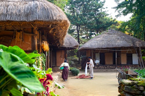 Những Người Bên Ngoài Nipa Houses