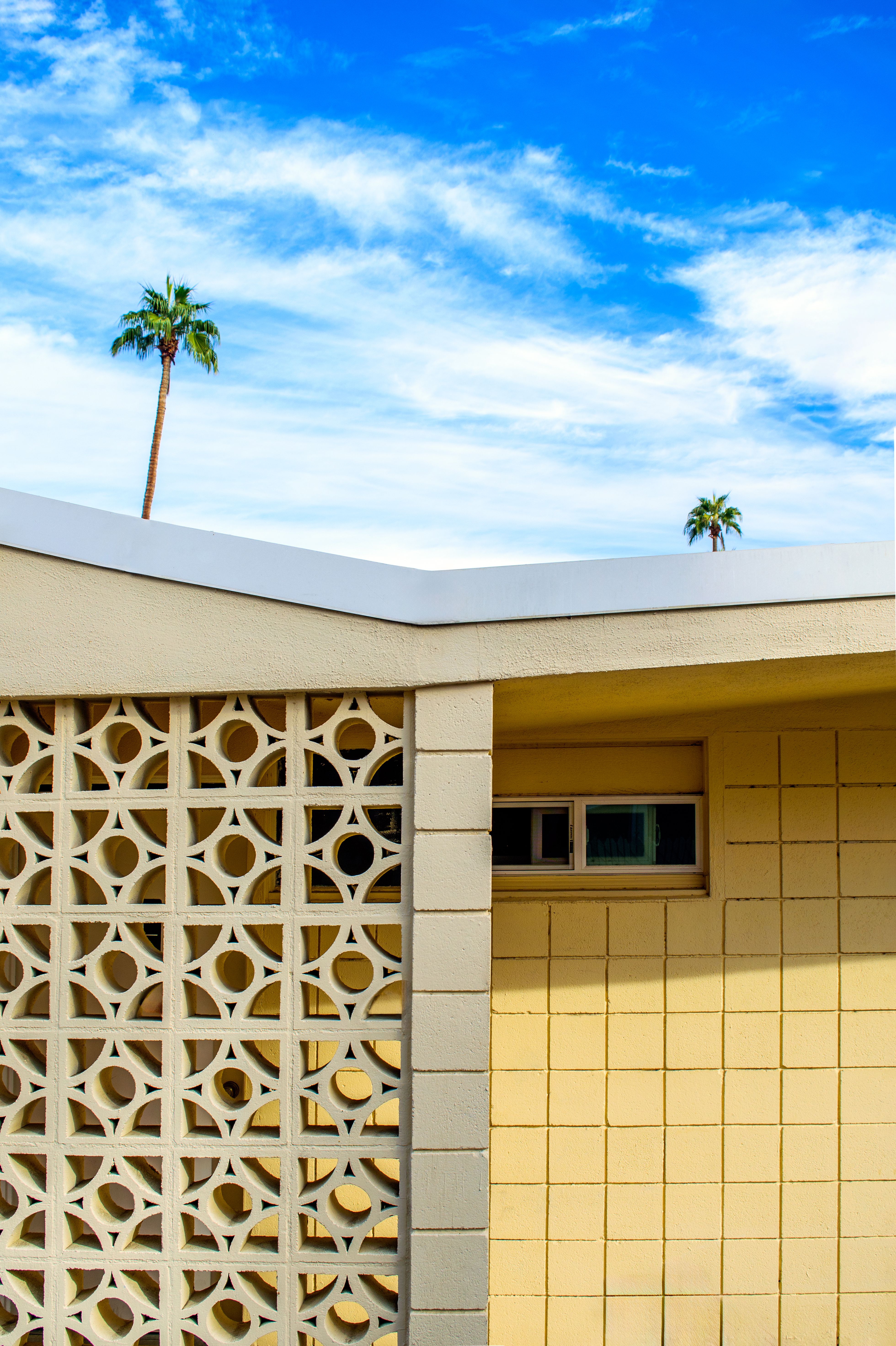 Mid-century modern building with palm trees in Palm Springs