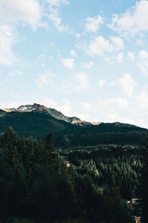 Free Stunning view of Whistler's lush forests and mountain peaks under a bright sky. Stock Photo