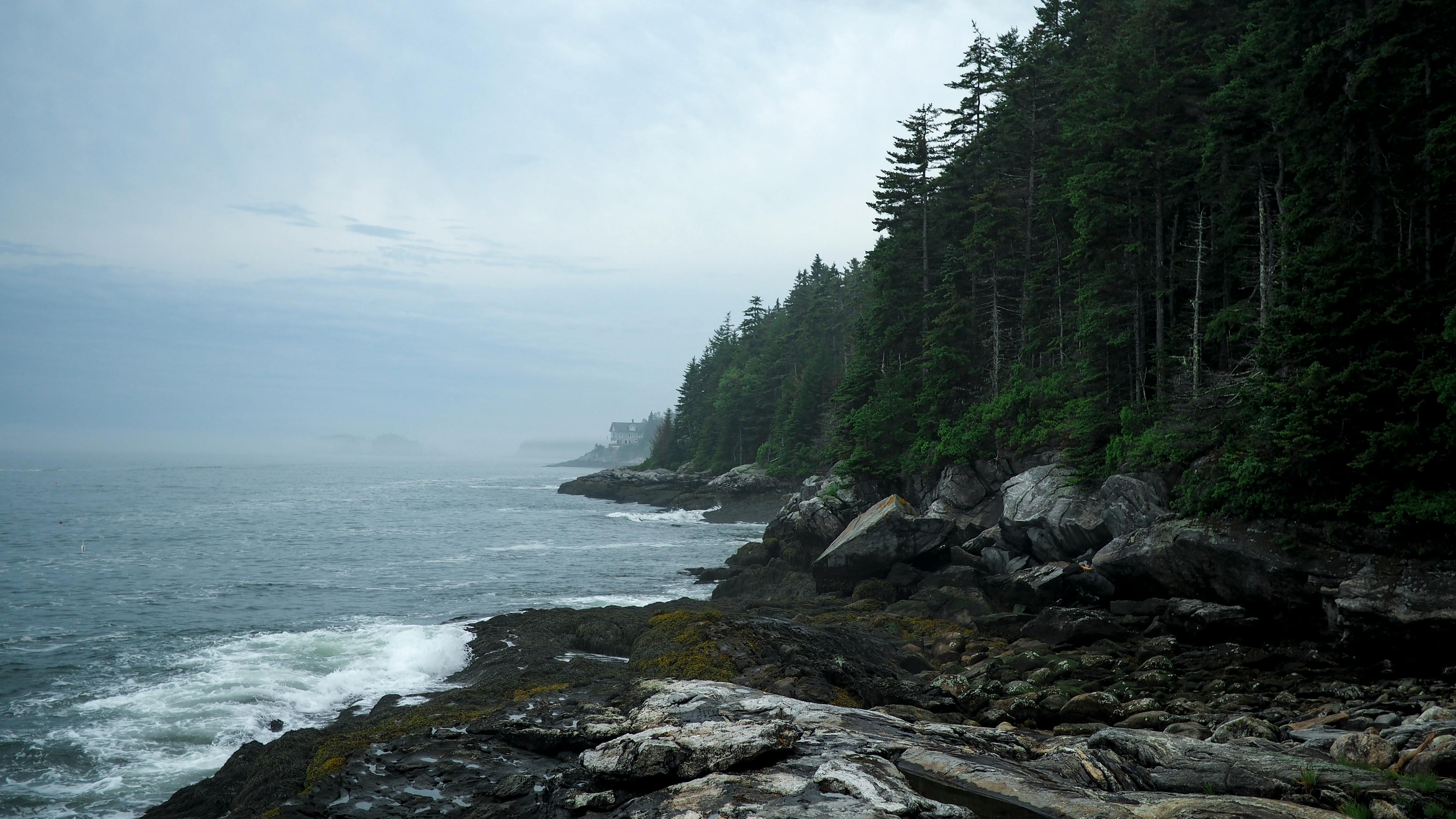 Maine college adding online programs for cannabis certifications — Photo by Brian on Pexels