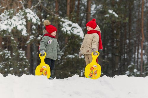 Free Two children have fun sledding in a snowy forest, showcasing winter joy and playfulness. Stock Photo