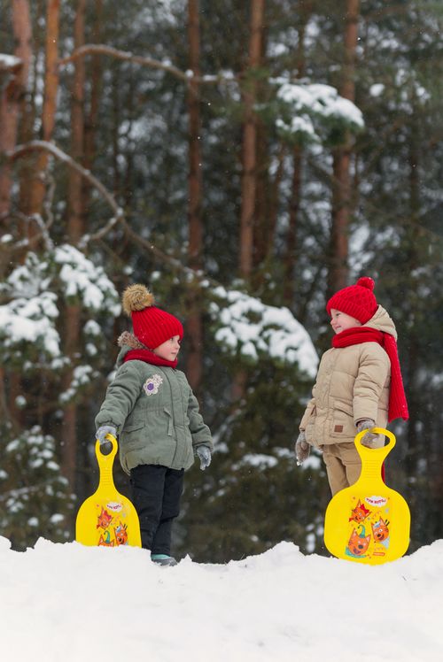 Free Two children enjoying a snowy day in a winter forest, dressed warmly and holding sleds. Stock Photo