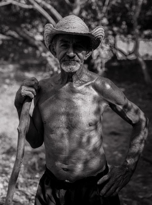 Free A timeless black and white portrait capturing the strength and resilience of an elderly farmer. Stock Photo