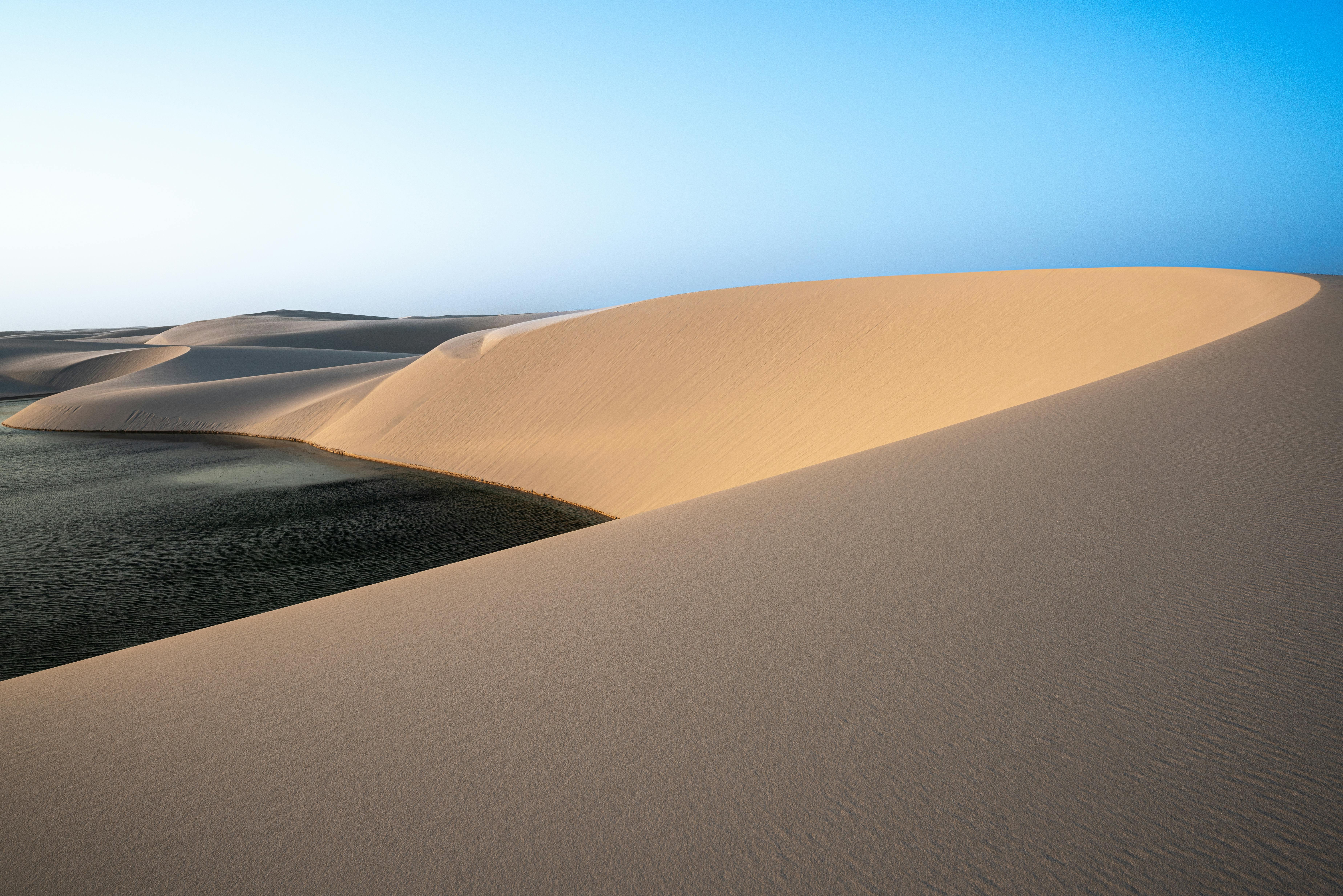 Expansive desert dunes with a tranquil blue sky create a serene natural landscape.