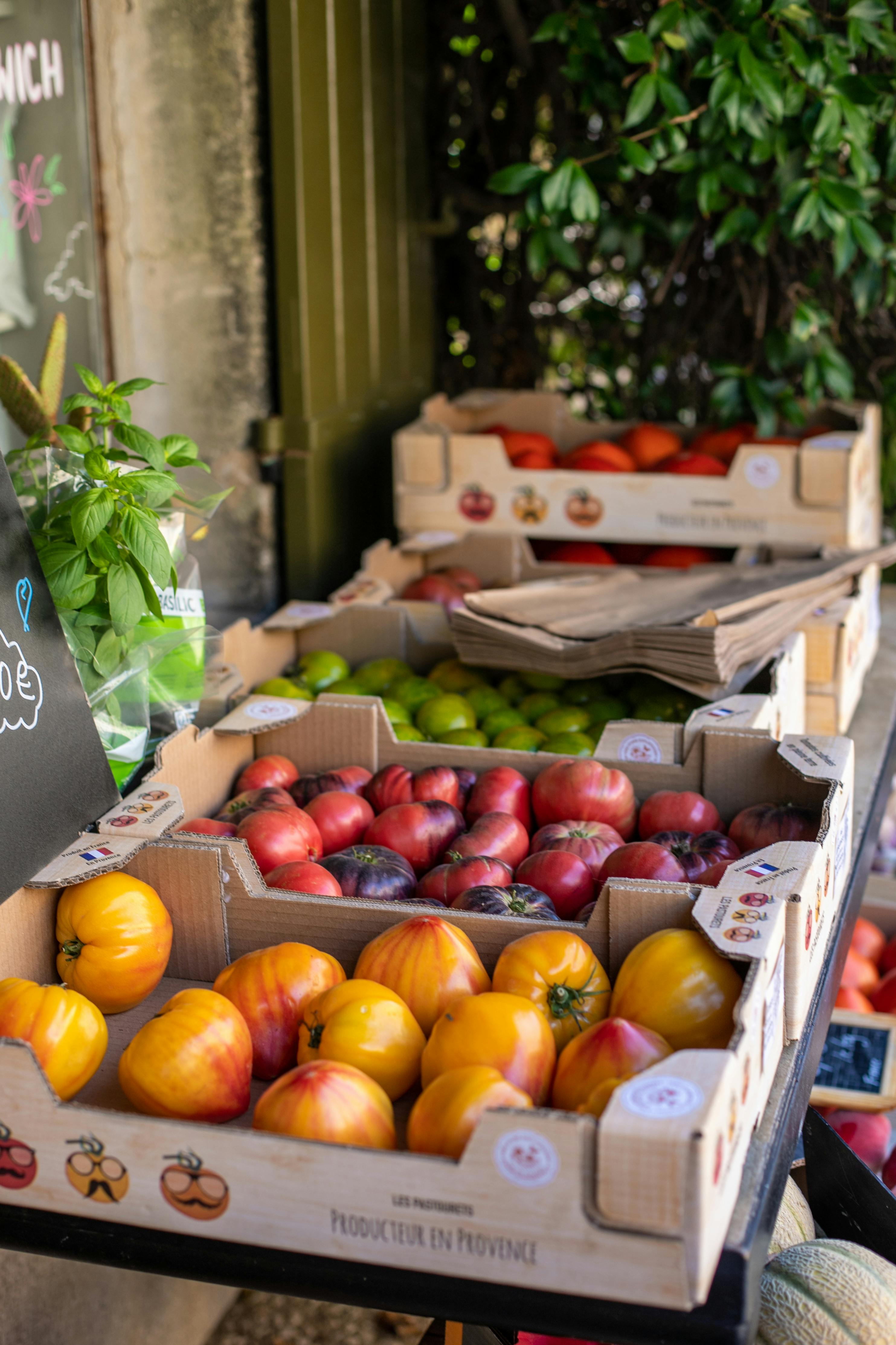 Produits locaux à la base de la cuisine régionale : poisson, olive, tomate, vin.