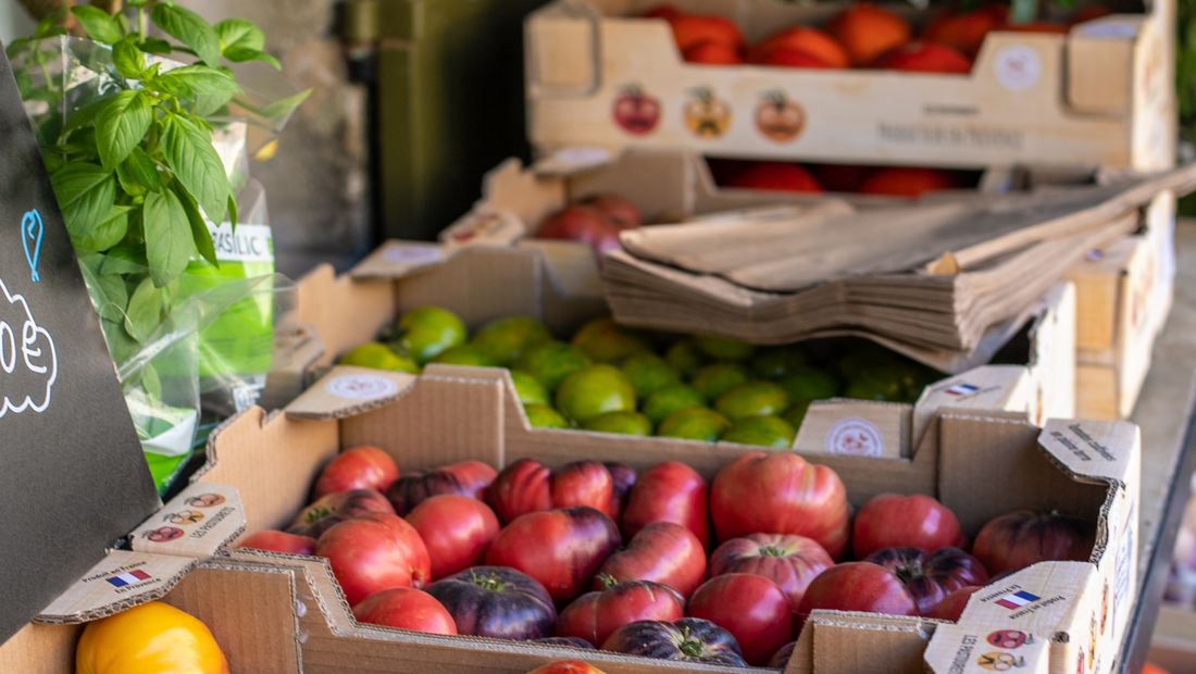 Produits locaux à la base de la cuisine régionale : poisson, olive, tomate, vin.