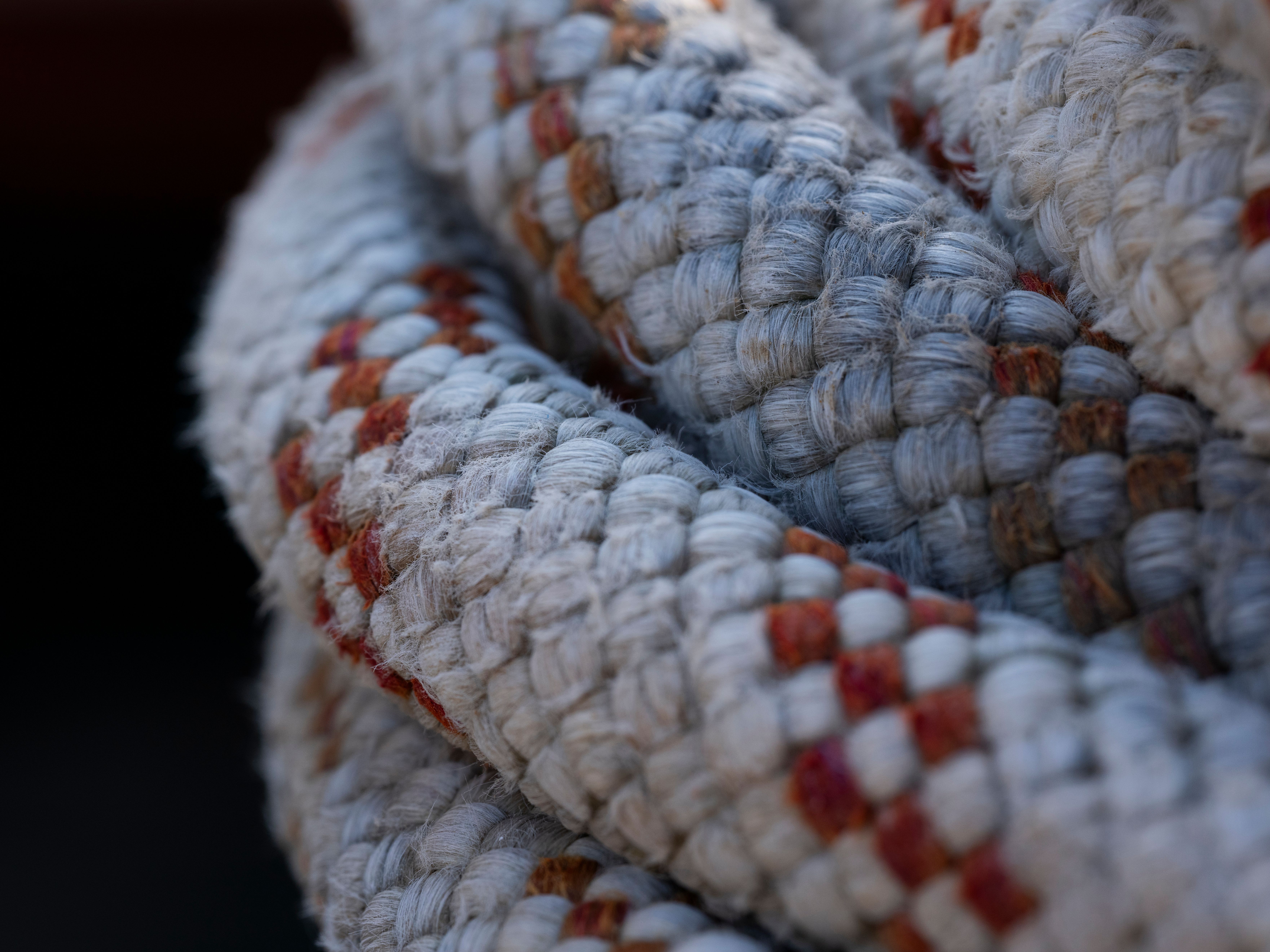 Fabrics, woven; containing 85% or more by weight of filaments of nylon or other polyamides, of yarns of different colours
