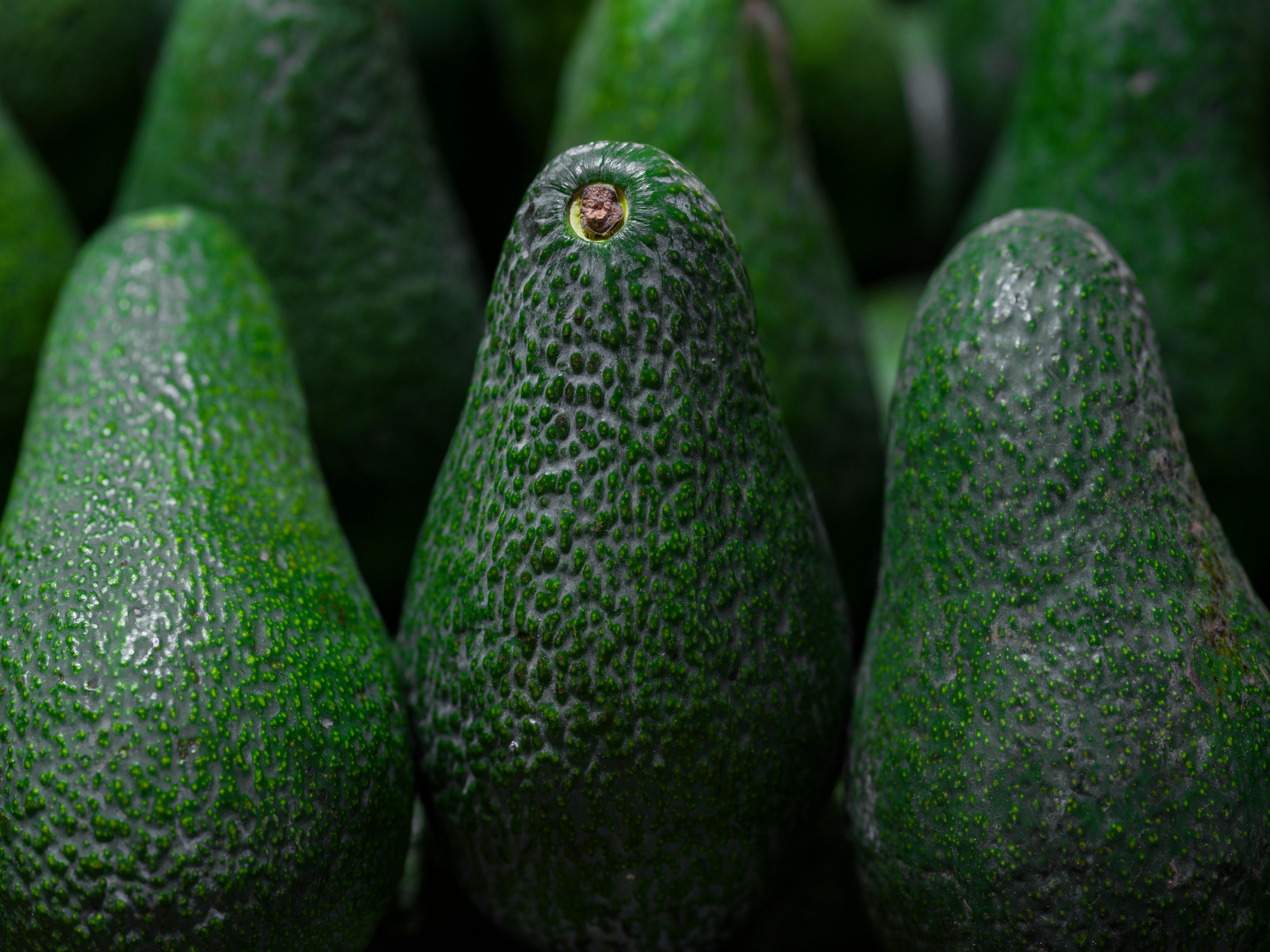 Fresh Avocados