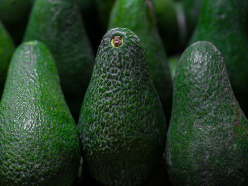 Free Detailed close-up of ripe avocados showcasing vibrant green textures, perfect for healthy eating. Stock Photo