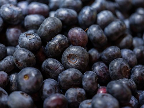 Free Macro shot of ripe blueberries showcasing freshness and texture. Stock Photo
