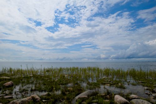 Free Tranquil view of the Baltic Sea with grassy shore and scattered rocks under a bright sky. Stock Photo