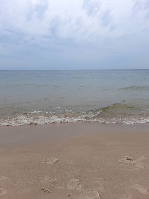 Free A peaceful seashore scene with gentle waves, sandy beach, and overcast sky. Stock Photo