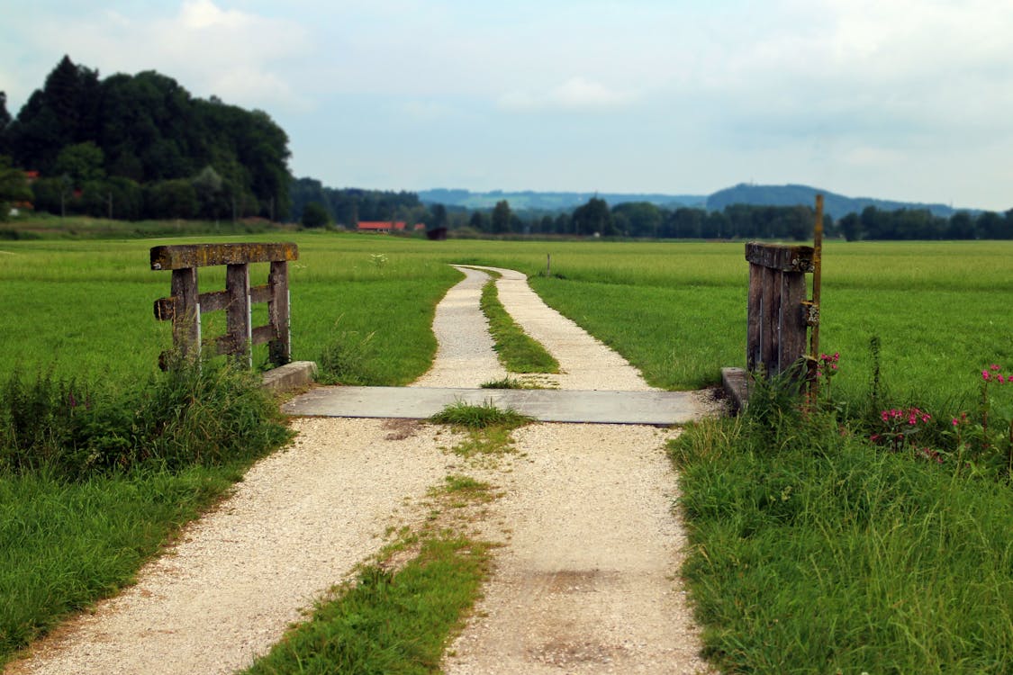 Free Brown Road Between Two Brown Brown Fences Stock Photo