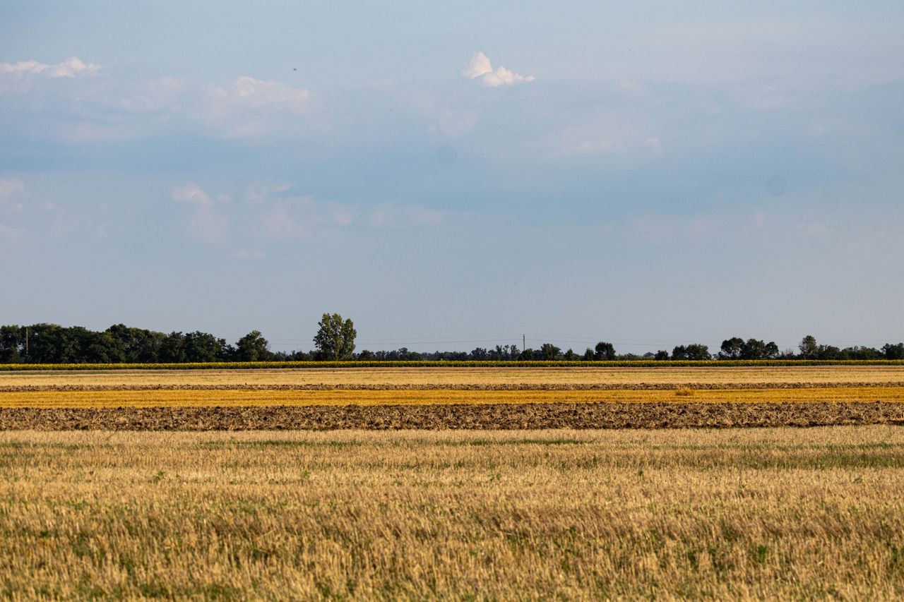 German Farmers Warn of Below-Average Harvest Due to Drought