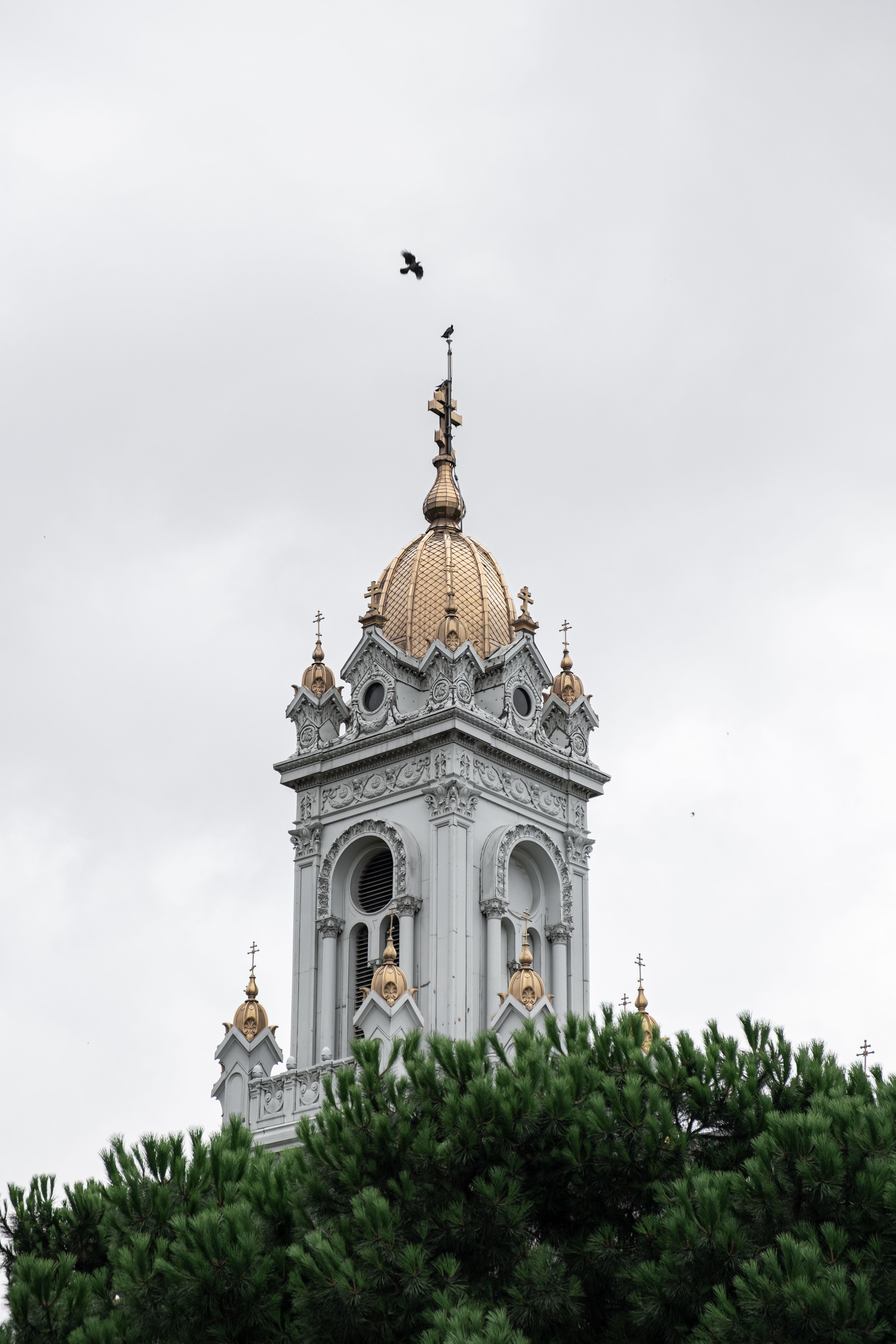 A bird is perched on top of a building · Free Stock Photo