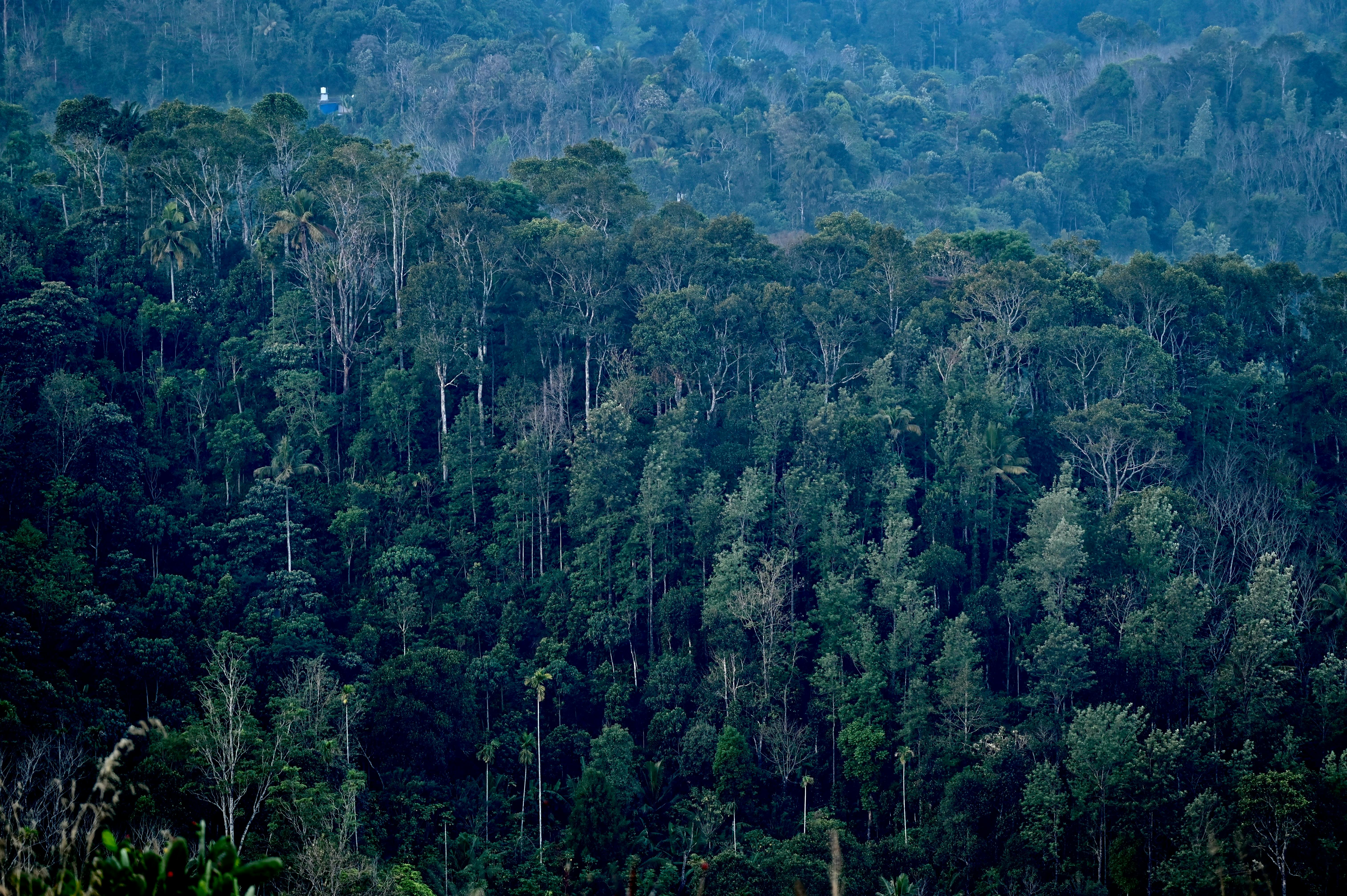 Photos provided by Pexels