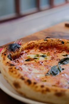 Pizza Dough — Neapolitan