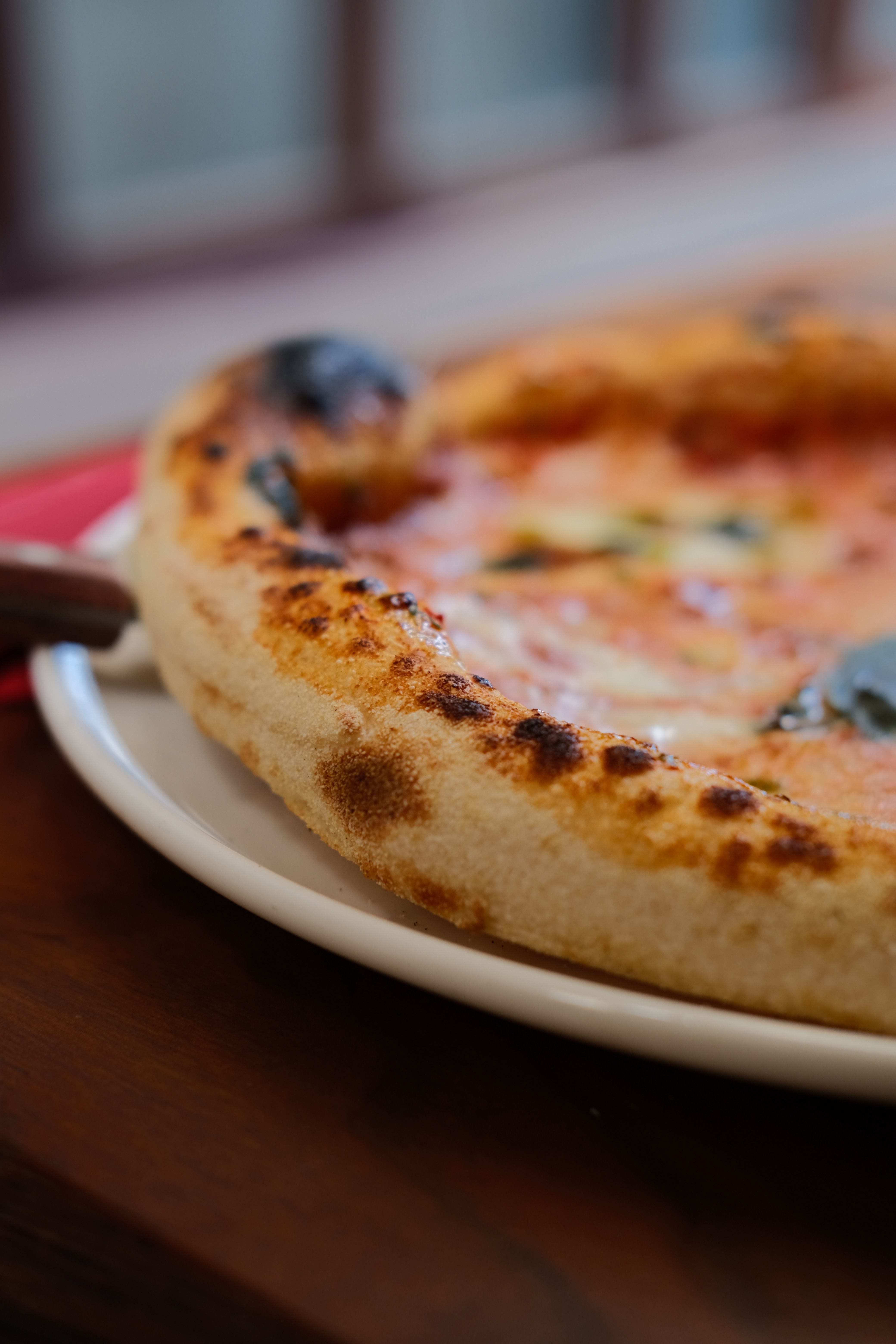 Delicious rustic wood-fired pizza with crispy crust served on a white plate.