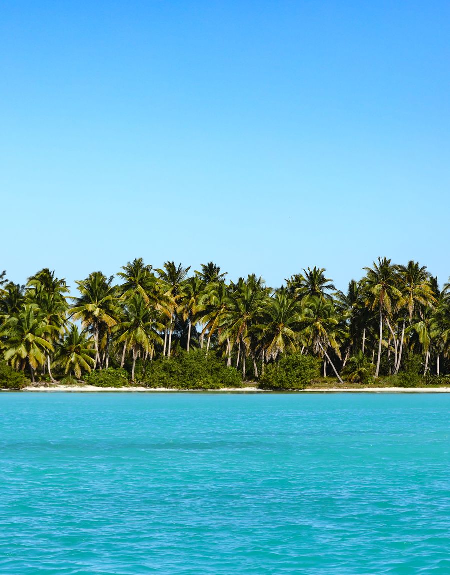 Palm-lined shore and calm turquoise water under a wide sky.