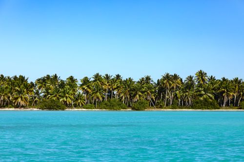 Free A breathtaking view of a tropical island with lush palm trees lining the turquoise ocean waters, ideal for a serene vacation. Stock Photo