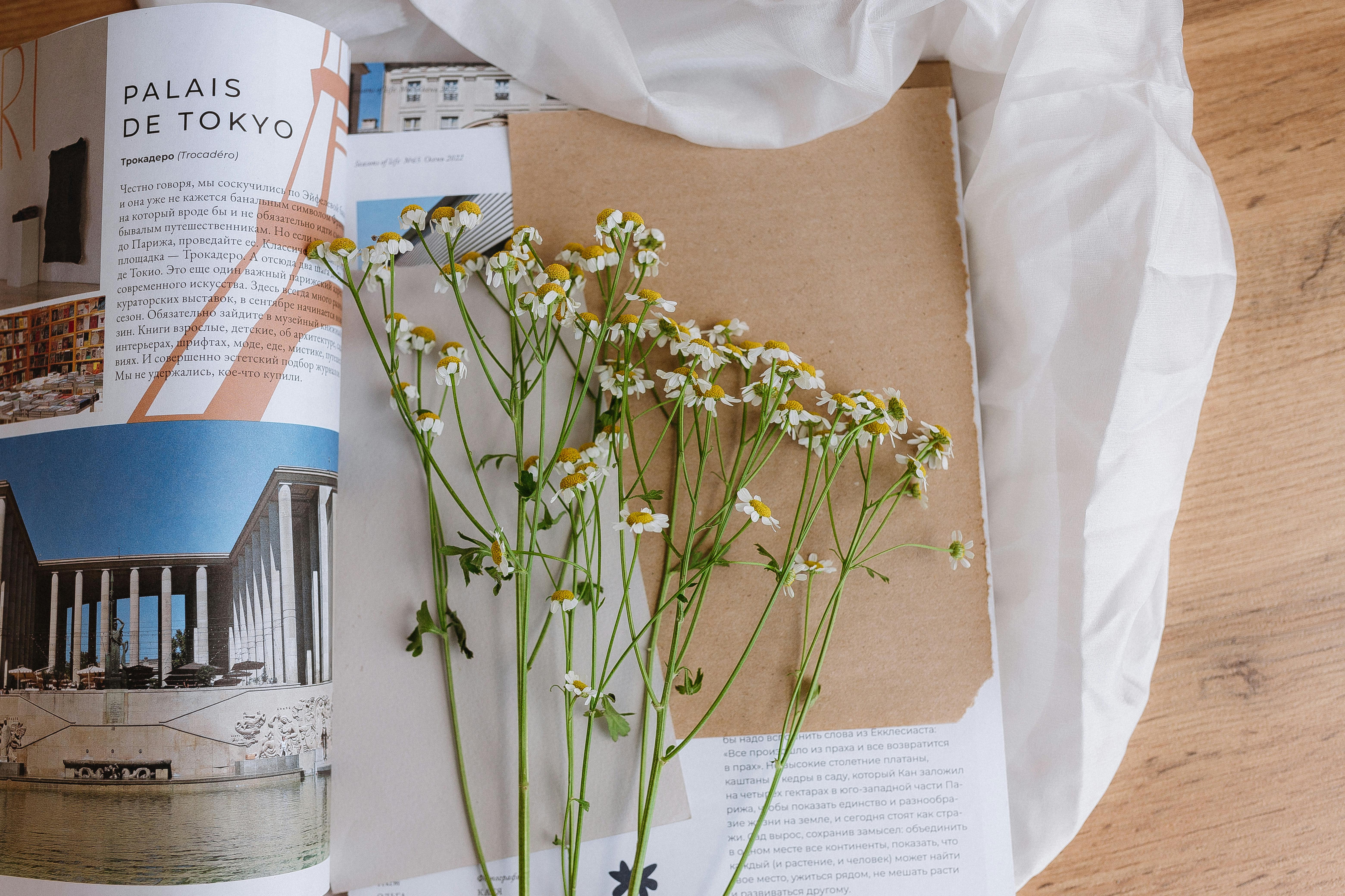 general lifestyle magazine cover — Photo by Alina Matveycheva on Pexels