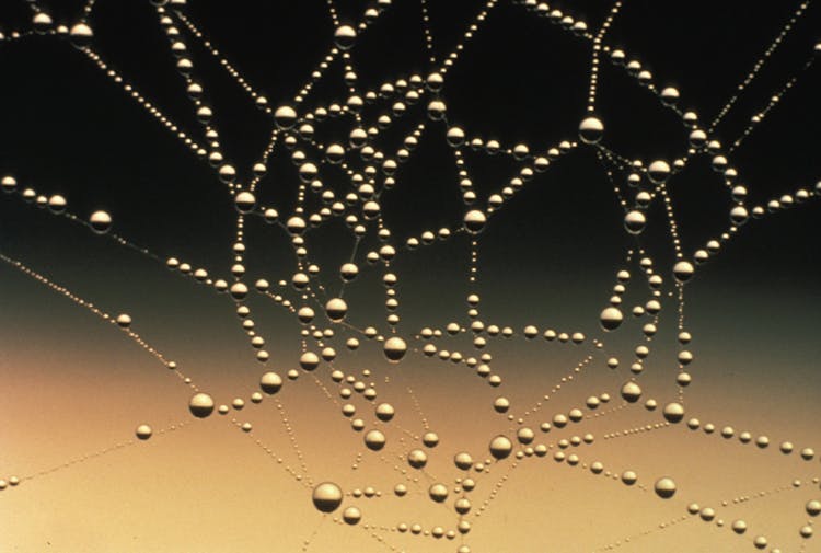 Close-up Photography Of Water Drops