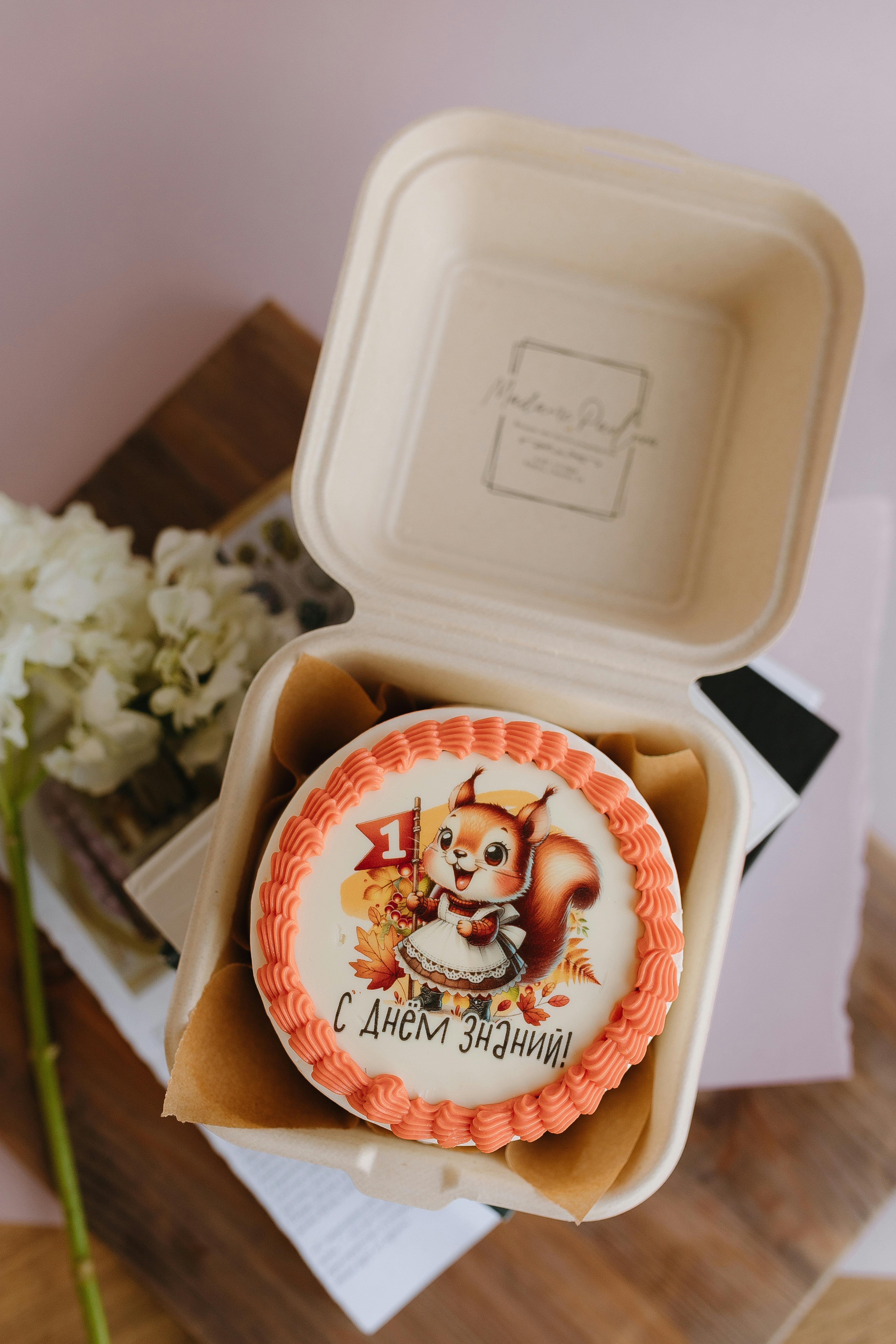 a cake in a box with a squirrel on it