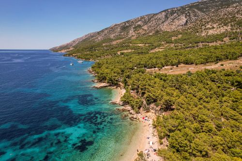 Free Stunning aerial view of a turquoise seascape with lush pine forests on a summer day. Stock Photo