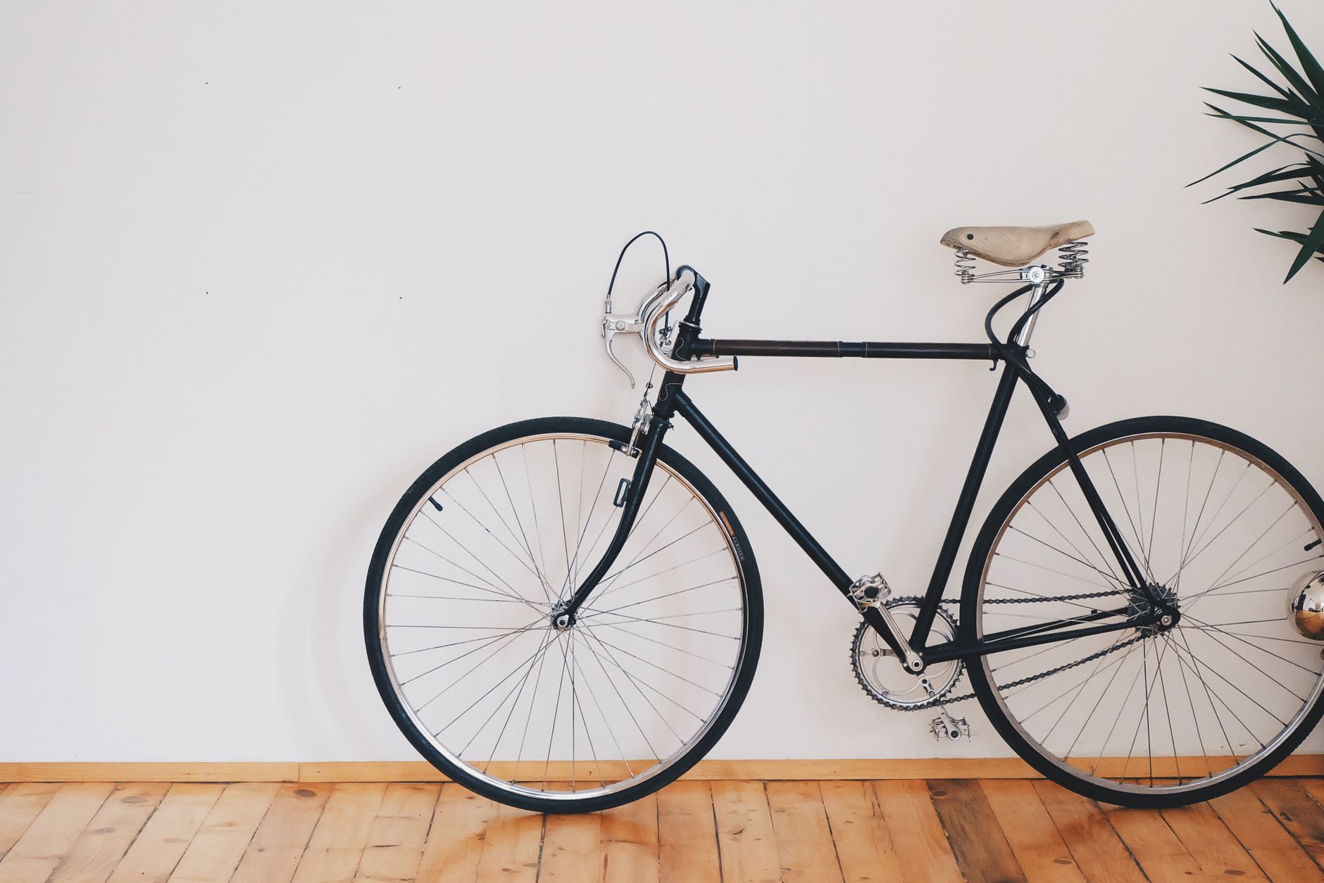 Pista ciclabile · Noleggio bici