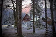 斯洛文尼亚冬季的宁静雪景中，一座小屋被树木环绕