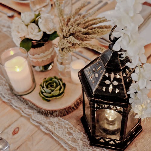 Безкоштовне стокове фото на тему «весілля, декор, декоративна рослина»