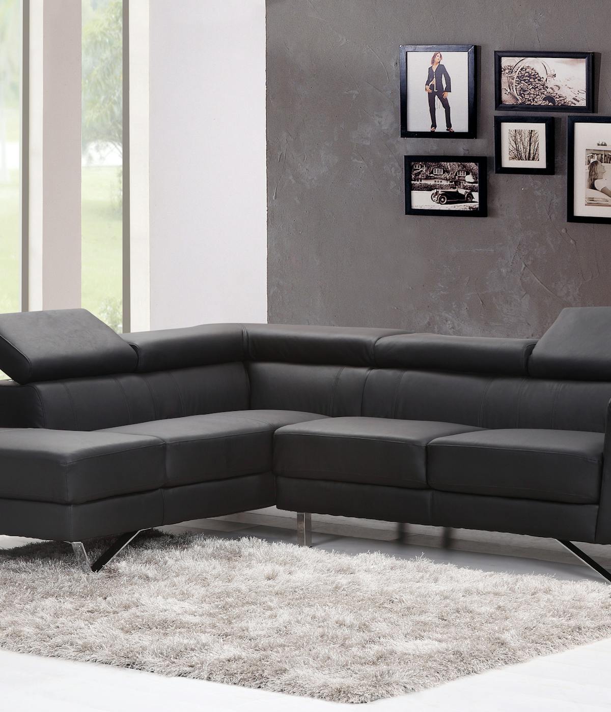 couch and area rug