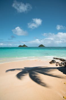 热带海滩上，绿松石色的海水与棕榈树的阴影构成了一片宁静祥和的景象