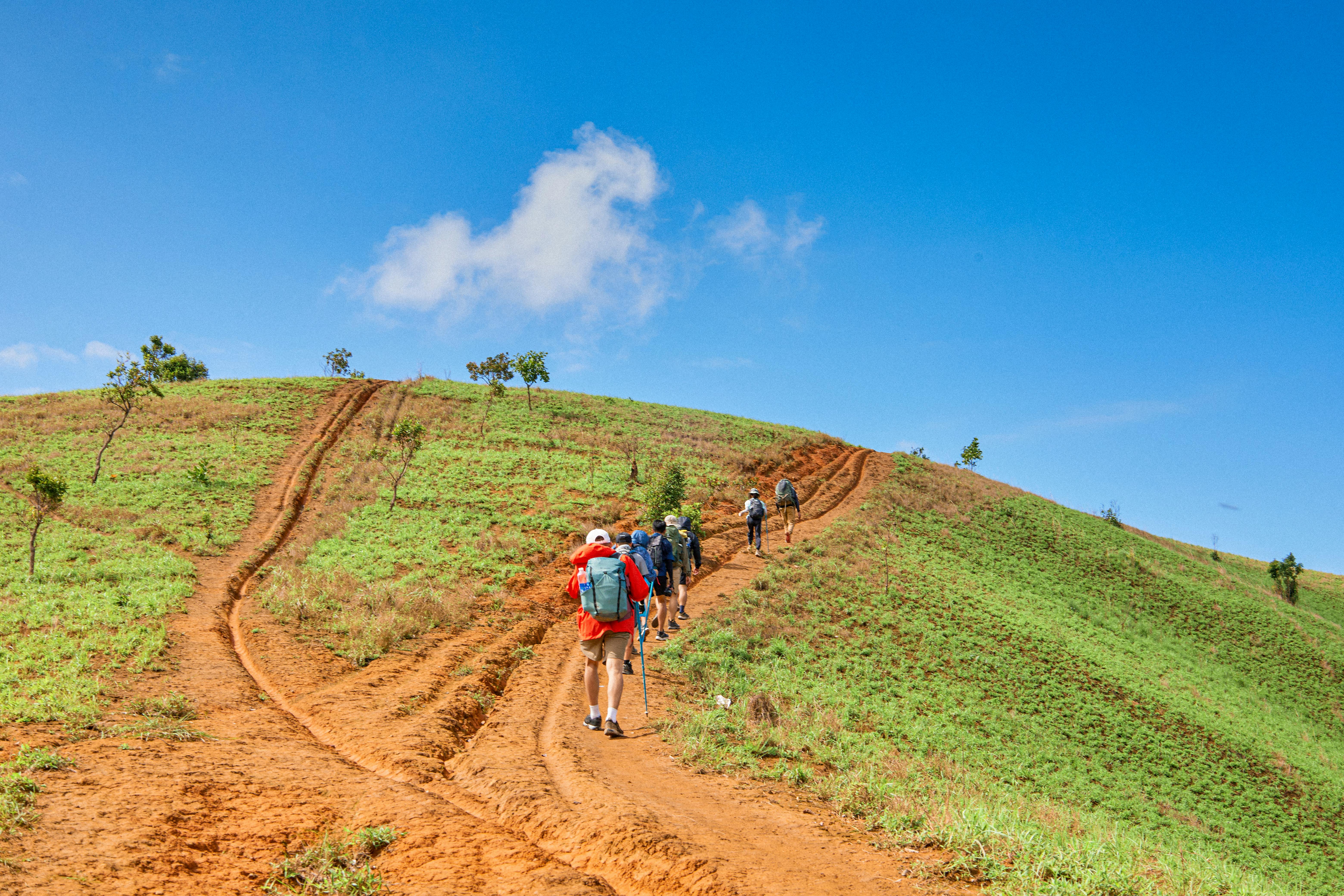 Miễn phí Ảnh lưu trữ miễn phí về ánh sáng ban ngày, canon canon, cây xanh Ảnh lưu trữ