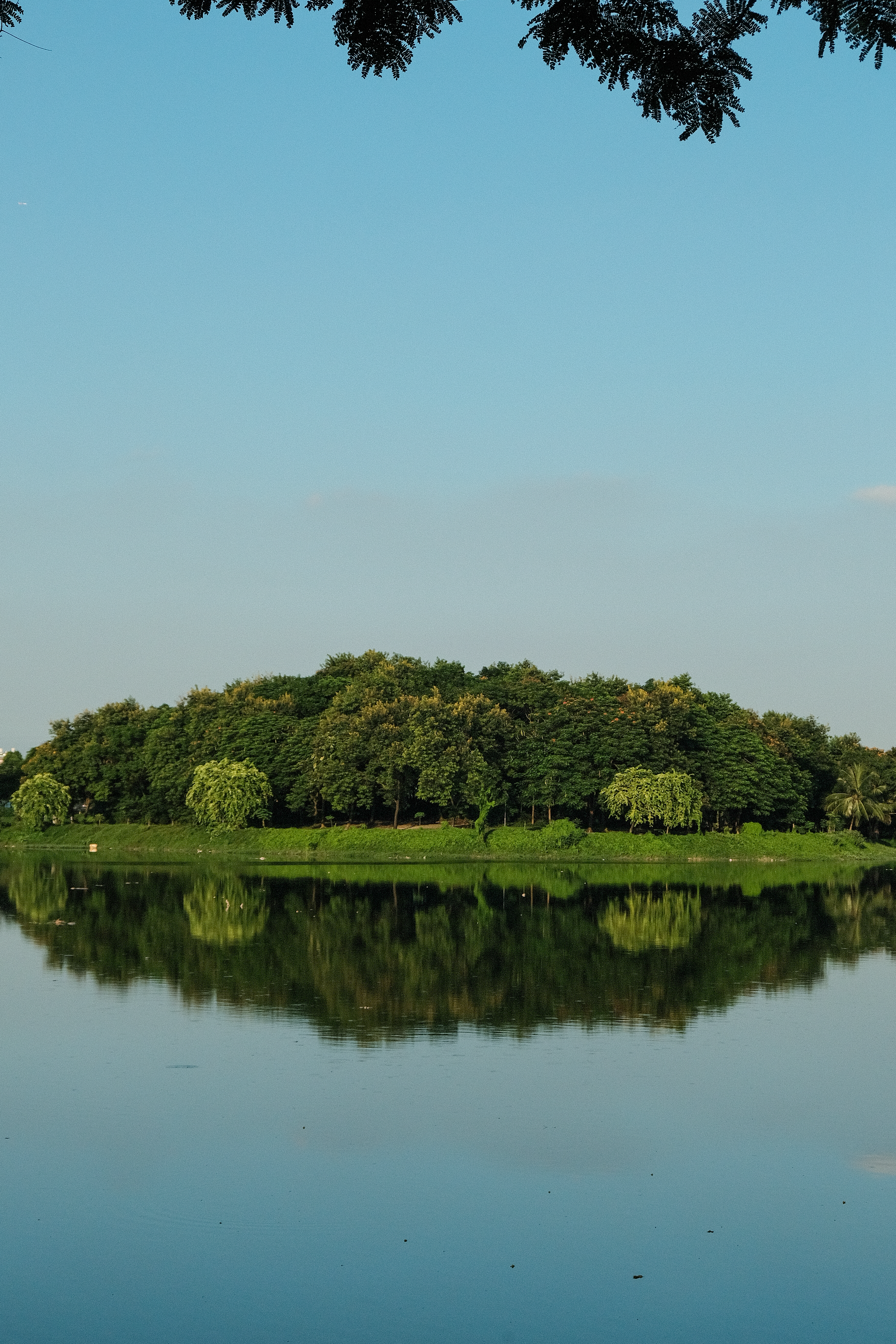 A lake with trees and a reflection of the sky · Free Stock Photo