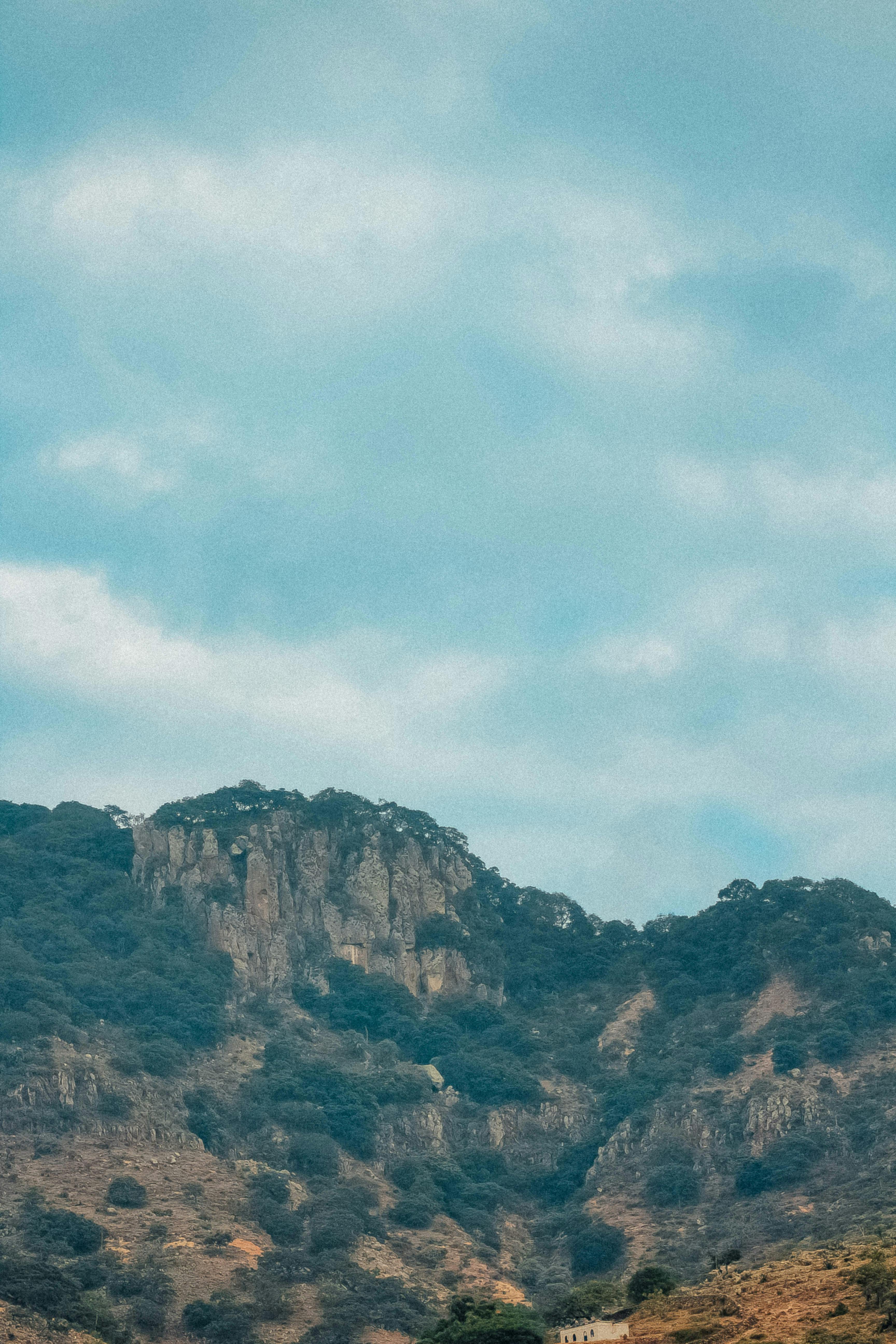 Risk Factors for Abnormal Uterine Bleeding