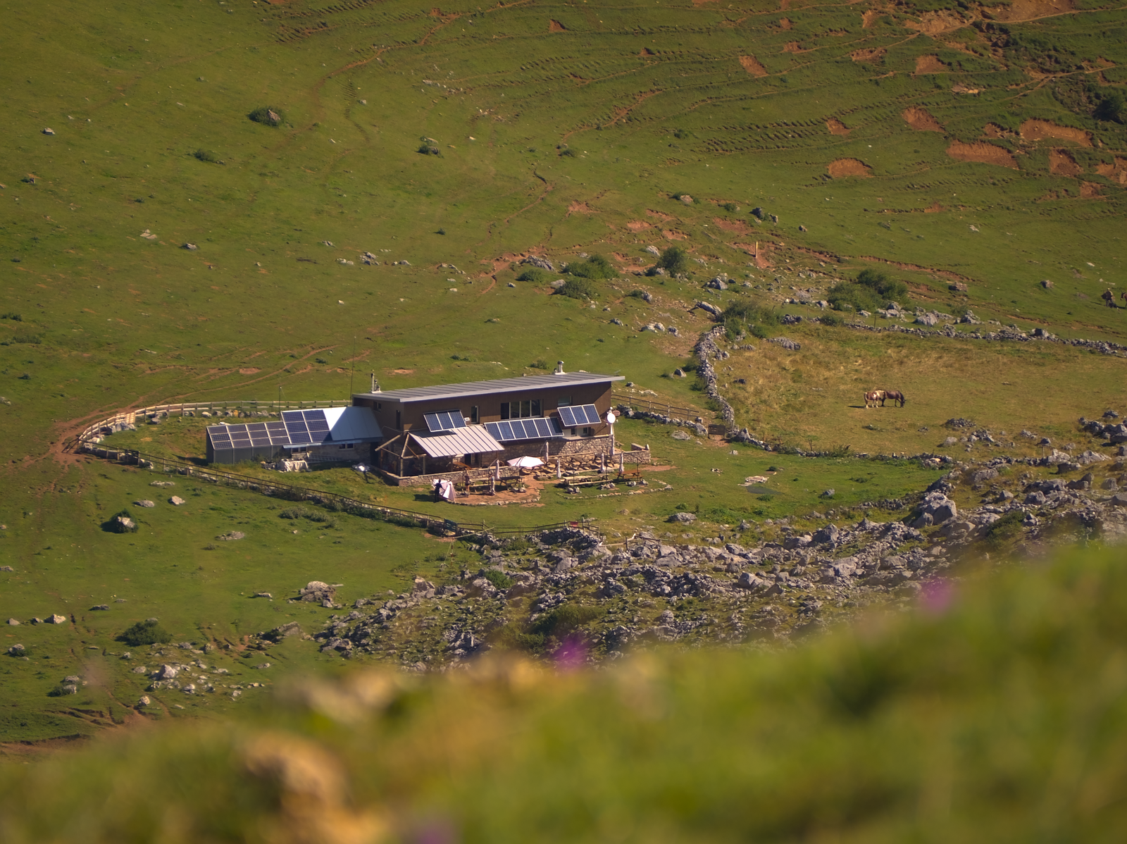 Rural cabin with solar panels on a green hillside (illustrative photo)