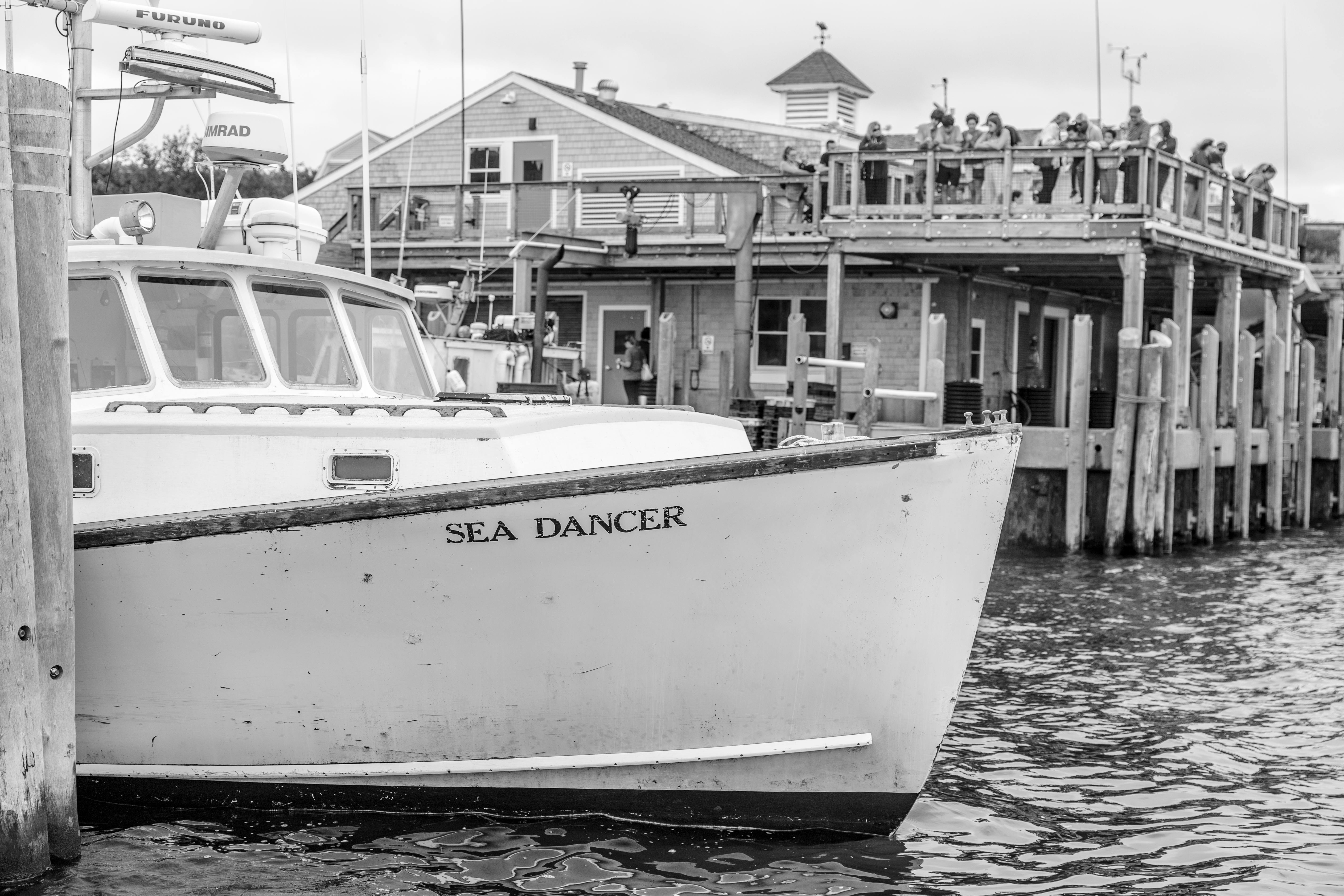 Discover Seamless Wedding Transportation in West Chatham, Massachusetts