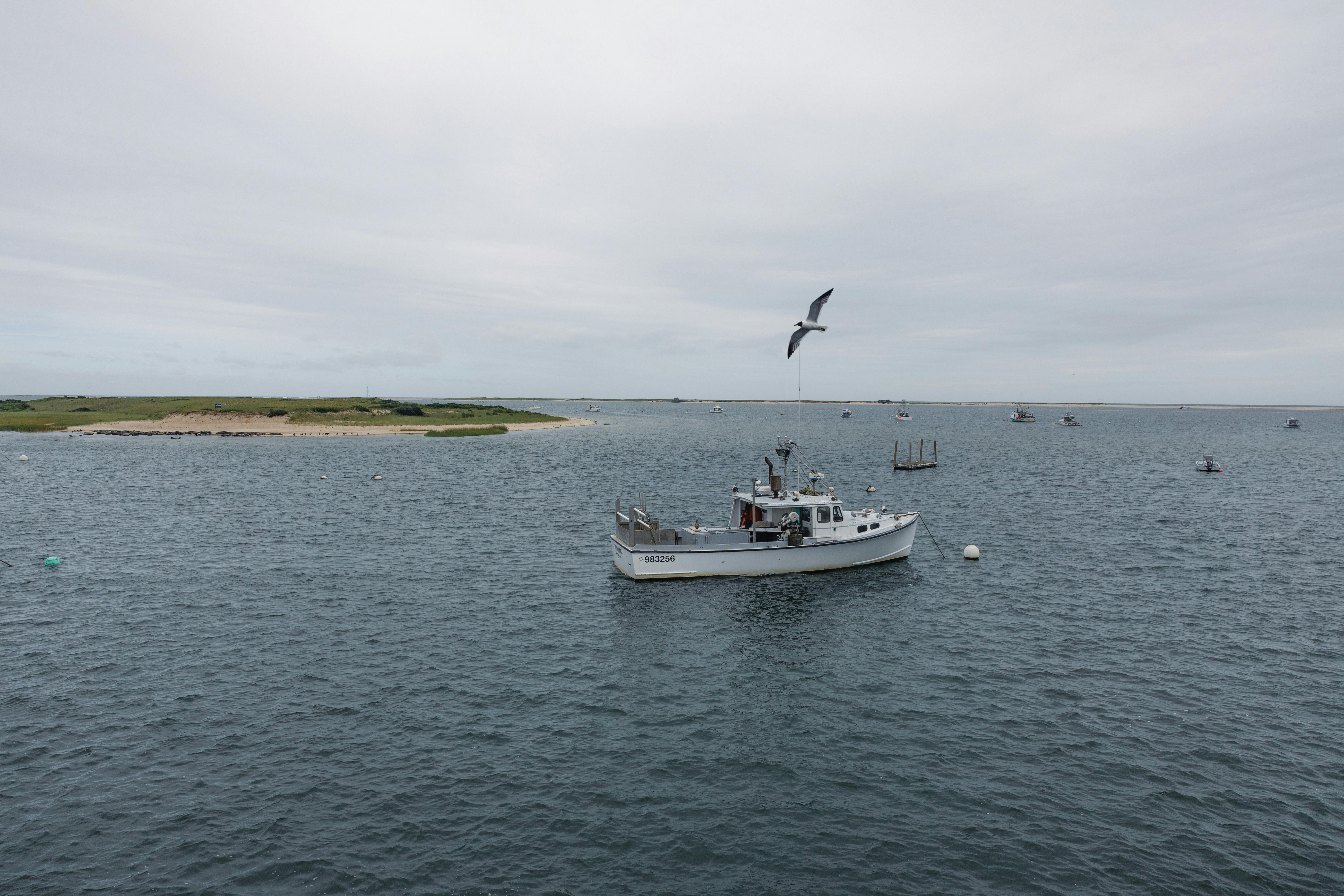 Signs your drains are blocked