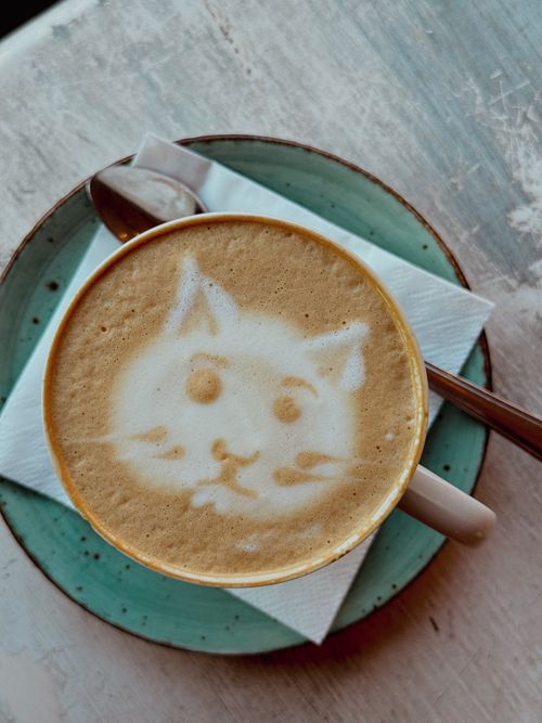 Free A cappuccino cup with creative cat face latte art on a rustic table setting. Stock Photo