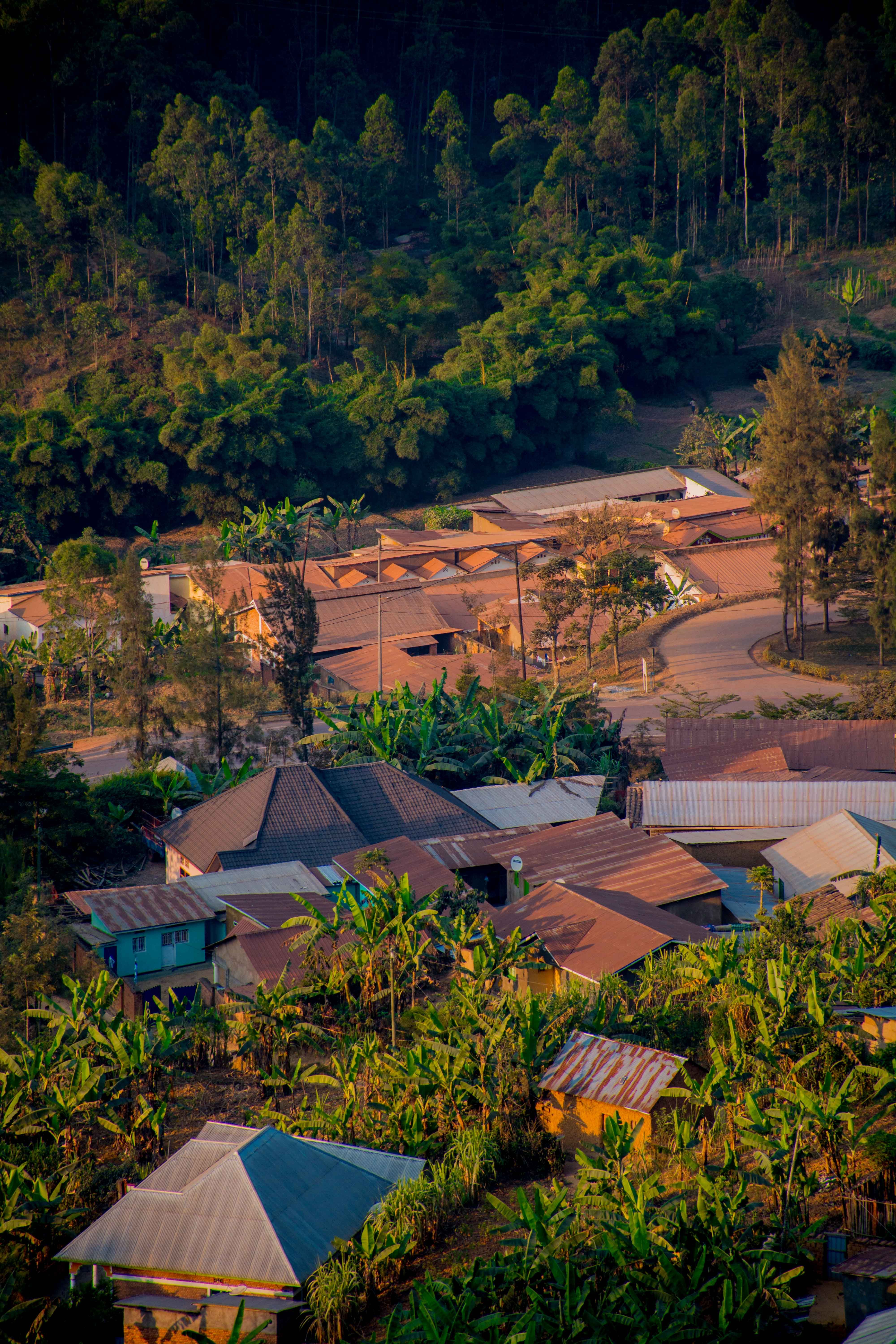 A village in the mountains with a lot of trees, Malawi