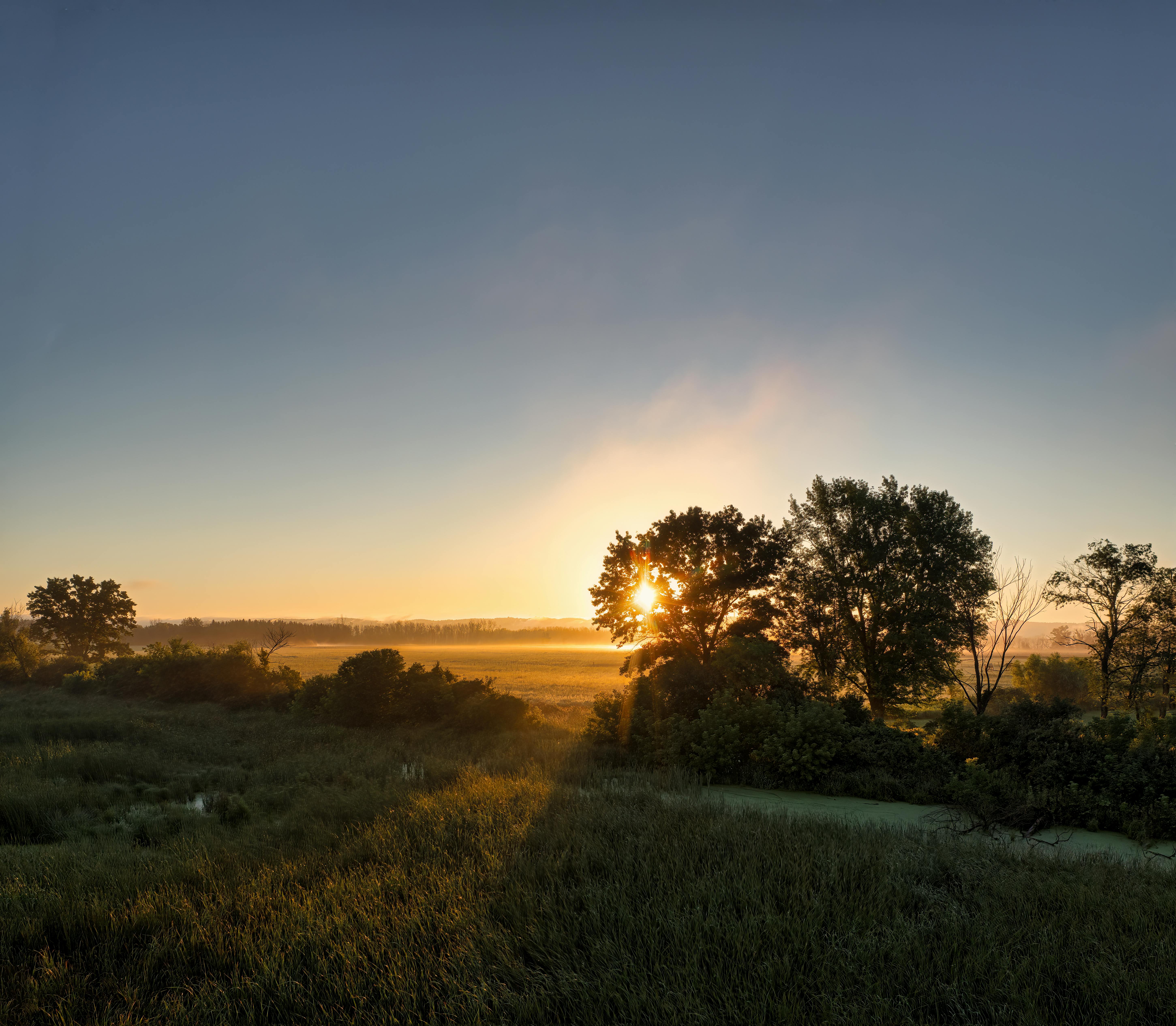 Sunrise view over lush fields in Kellogg, MN with mist and trees creating a tranquil scene.