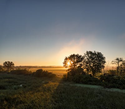 Sunrise view over lush fields in Kellogg, MN with mist and trees creating a tranquil scene.