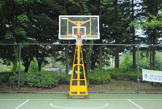 A solitary basketball hoop on a green outdoor court surrounded by trees, perfect for recreation.