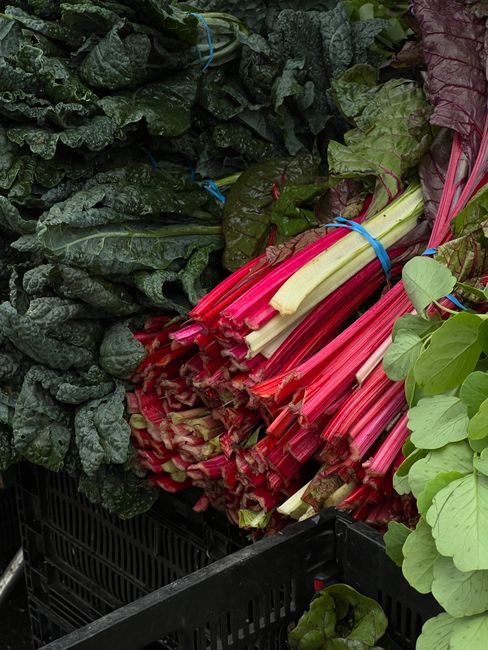 A bunch of mangold chard with ruffled dark green leaves and bright red, yellow, and white stems laid on a wooden cutting board.