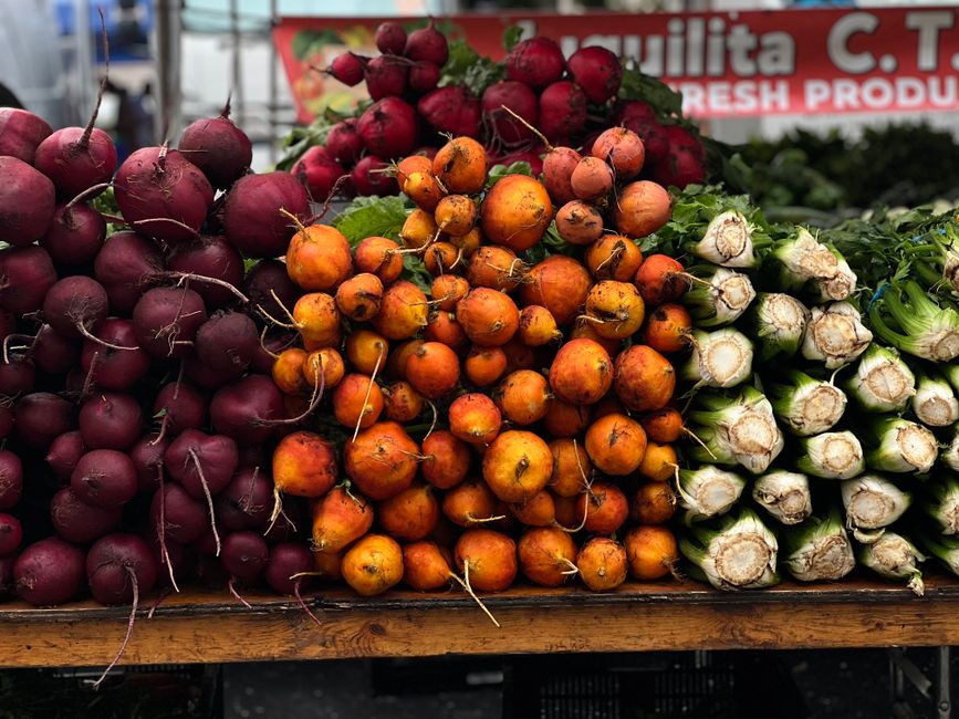 Reading Ingredient Lists: A Quick Guide to Spotting Hidden Animal E-Numbers