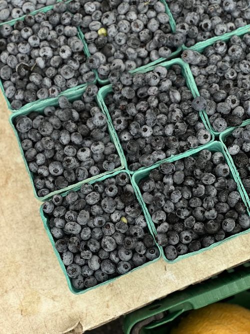 Free Baskets of ripe blueberries displayed at a farmer's market. Stock Photo