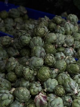 Jerusalem Artichoke — Topinambour