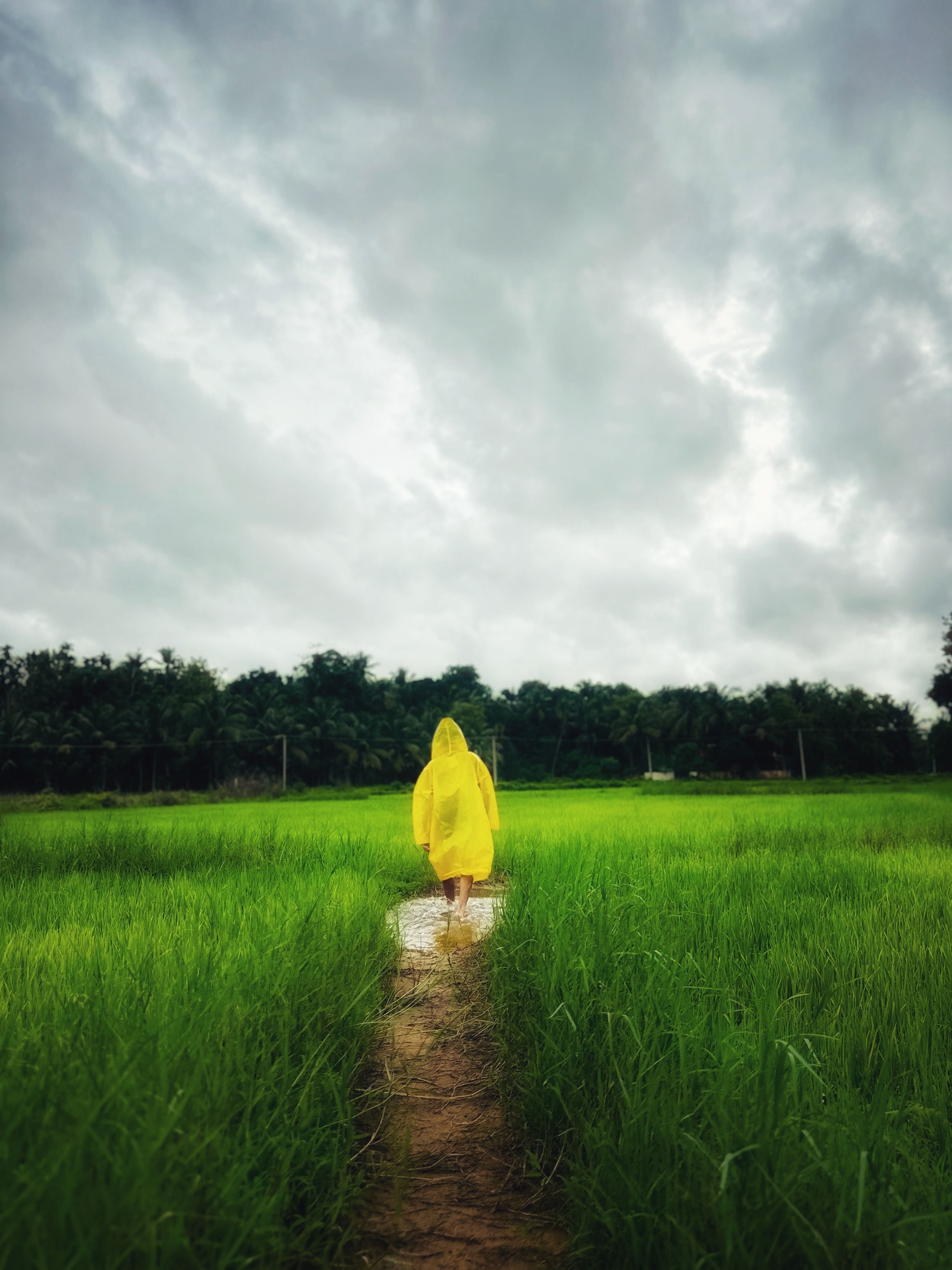 A person in yellow raincoat walking through a field · Free Stock Photo